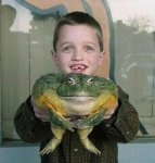 big frog.jpg