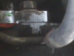 IMG00239.jpg