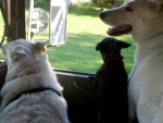 2011-08-13_17-58-28_457.jpg