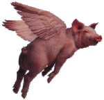 flying_pig_03_196.jpg.gif