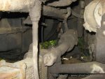 img_0229_972.jpg