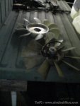 a1a2fans_161.jpg