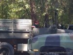 unicoi_state_park_043_187.jpg
