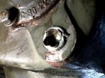 drain plug.jpg
