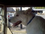 2011-10-03_15-45-39_331.jpg
