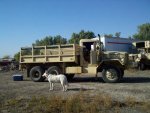 2011-10-03_16-36-45_849.jpg