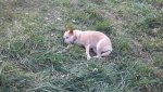 2011-10-06_14-59-23_175.jpg
