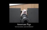 americanpigs.jpg