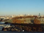Picture 001.jpg
