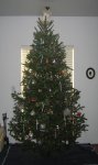 christmas_tree_2011_4.jpg