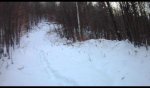 snow5.jpg