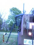 cat walk 007.JPG