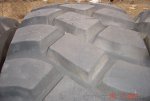 dsc00082_771.jpg