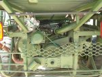 mule10.jpg