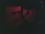 RED LED CAB.jpg