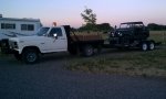 Jeep A1 on trailer.jpg