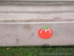 camera_9_26_07_345_110.jpg