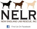 NELR logo.jpg