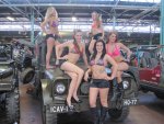 img0003zd.jpg