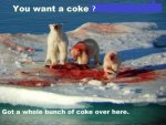 want-some-coke-PB.jpg