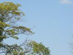 DSC06718.JPG
