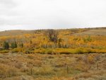8025577286_e0aebcb796_b[1].jpg