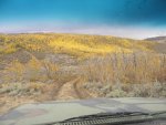 8025580296_be2196e3fc_b[1].jpg