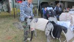IMG_0419.jpg