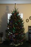 christmas_tree_2012_4.jpg