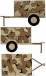 DESERT CAMO 5.jpg