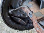 Left Rear Axle backside oil leak..jpg