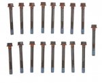 head bolts.jpg