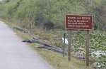 Florida Road Sign.jpg