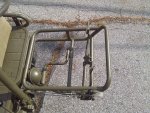 mule2.jpg