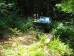 DSC07339.jpg