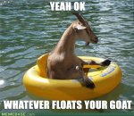 whatever-floats-your-goat.jpg