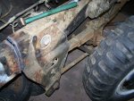 front springs 002.jpg