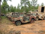 jeeps_646.jpg