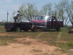 20130512_130012.jpg 20130512_130012.jpg