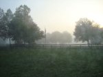 House foggy 044.jpg
