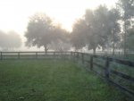 House foggy 045.jpg