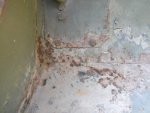 DSCN4538.jpg