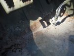 DSCN4539.jpg