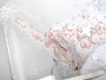DSCN4552.jpg