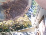 DSCN4557.jpg