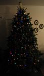 christmas_tree_2013_5.jpg