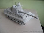 tiger_2_front_153.jpg