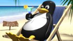 003 Penguin-On-The-Beach.jpg