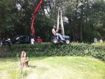 Redneck Hedge Trimmer.jpg