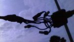 IMAG0009.jpg